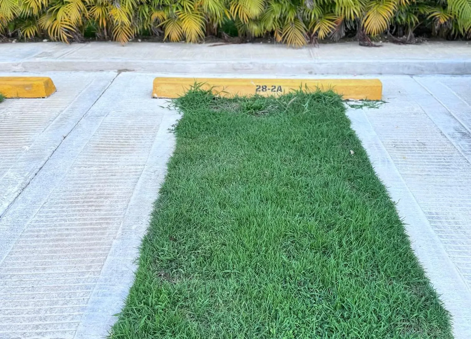 Apartamento Con Piscinas Y Amenidades In 푼타 카나 롯지
